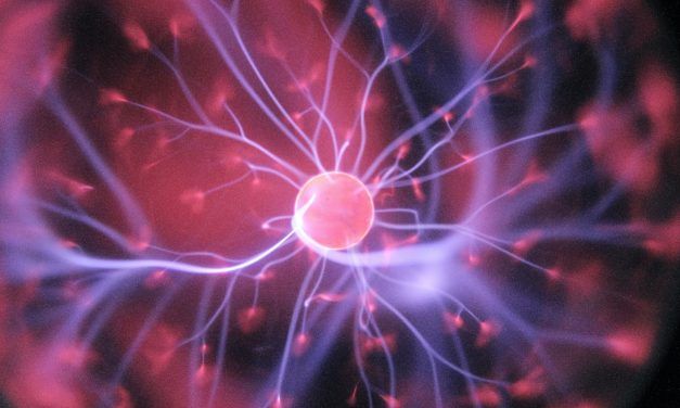 5 formas en que los gerentes pueden apoyar la diversidad de neurofirmas en el trabajo