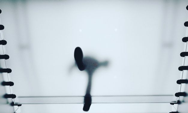 ¿Qué tan transparente debe ser con su equipo?