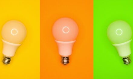 Al presentar una idea, ¿debería enfocarse en el “porqué” o el “cómo”?